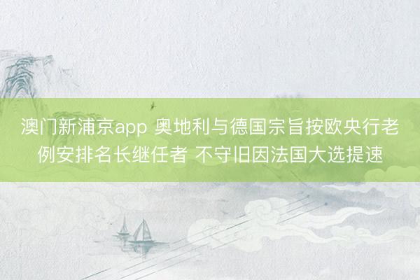 澳门新浦京app 奥地利与德国宗旨按欧央行老例安排名长继任者 不守旧因法国大选提速